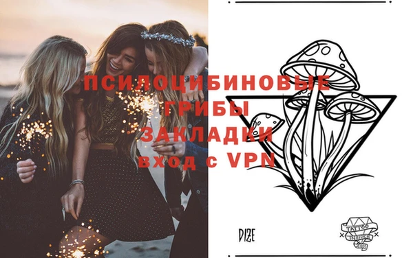 mdpv Коряжма